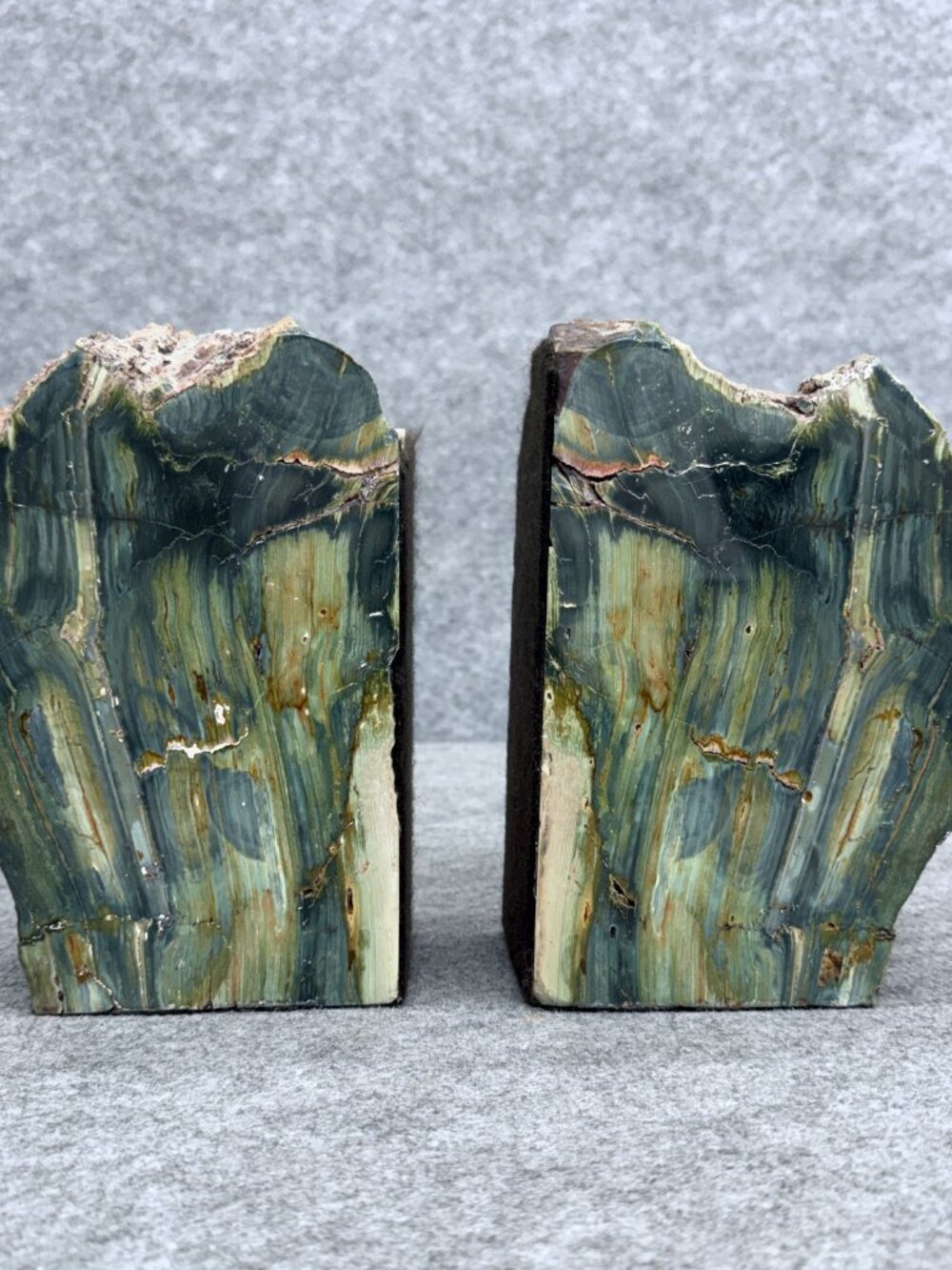 Vintage Gary Green Larsonite Jasper Petrified Wood Bookends, Fossilized Peat Bog